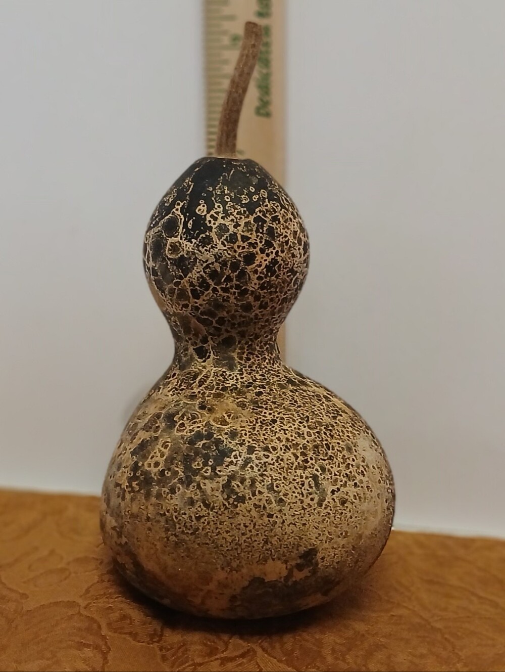 1 Decorative Dried Gourd- Natural Brown Tones